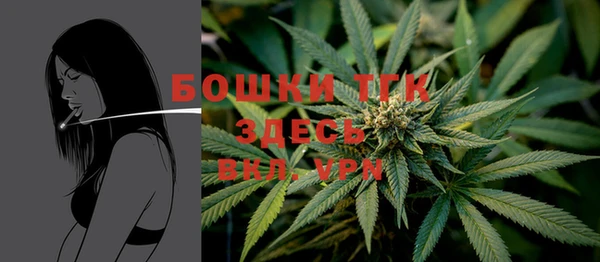 стафф Волоколамск