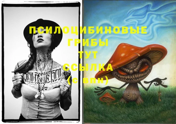 стафф Волоколамск