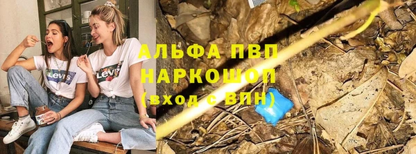 стафф Волоколамск