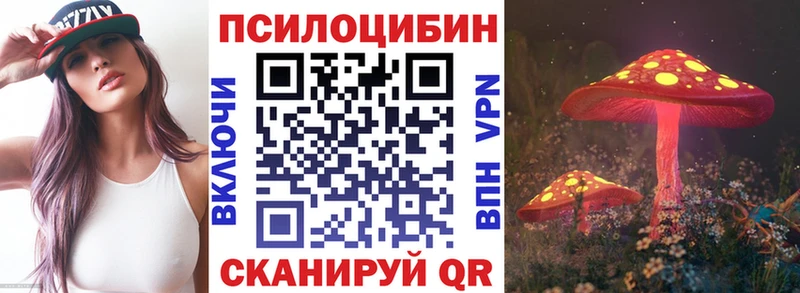Галлюциногенные грибы Psilocybe  Купить  Красновишерск 